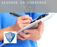 Seguros en  Cobreros