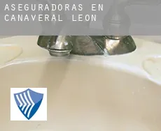 Aseguradoras en  Cañaveral de León