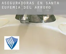 Aseguradoras en  Santa Eufemia del Arroyo