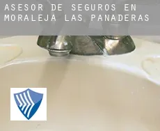 Asesor de seguros en  Moraleja de las Panaderas