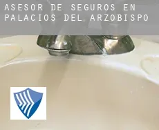 Asesor de seguros en  Palacios del Arzobispo