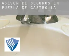 Asesor de seguros en  Puebla de Castro (La)