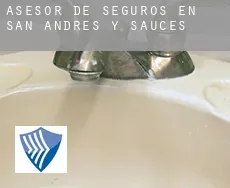 Asesor de seguros en  San Andrés Y Sauces