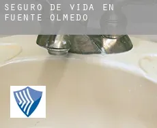 Seguro de vida en  Fuente-Olmedo