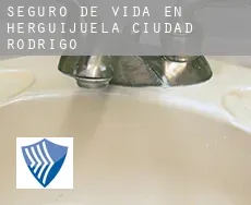 Seguro de vida en  Herguijuela de Ciudad Rodrigo