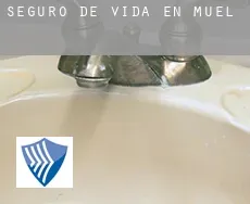 Seguro de vida en  Muel