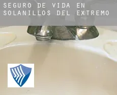 Seguro de vida en  Solanillos del Extremo