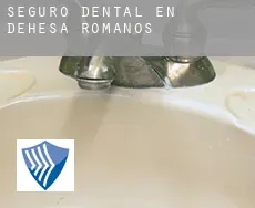 Seguro dental en  Dehesa de Romanos