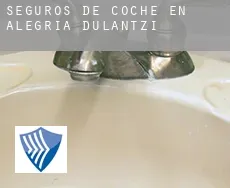 Seguros de coche en Dulantzi / Alegría