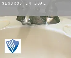 Seguros en  Boal