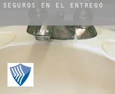 Seguros en  El entrego