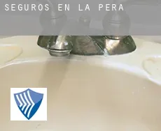 Seguros en  la Pera