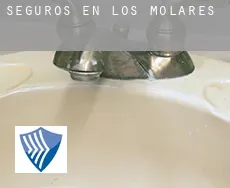 Seguros en  Los Molares