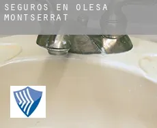 Seguros en Olesa de Montserrat