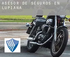 Asesor de seguros en  Lupiana