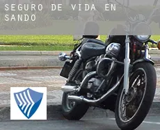Seguro de vida en  Sando