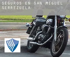 Seguros en San Miguel de Serrezuela