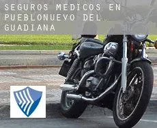 Seguros medicos en  Pueblonuevo del Guadiana