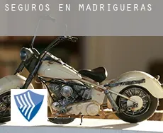 Seguros en  Madrigueras