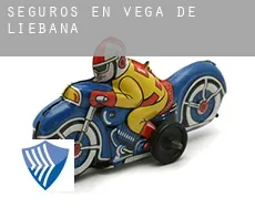 Seguros en  Vega de Liébana