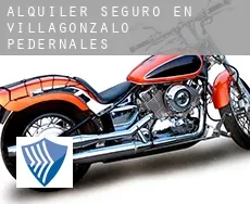 Alquiler seguro en  Villagonzalo-Pedernales