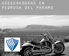 Aseguradoras en  Pedrosa del Páramo