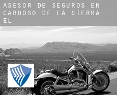 Asesor de seguros en Cardoso de la Sierra (El)