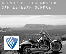 Asesor de seguros en  San Esteban de Gormaz