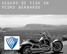 Seguro de vida en Pedro Bernardo