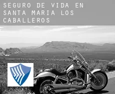 Seguro de vida en Santa María de los Caballeros