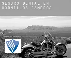 Seguro dental en  Hornillos de Cameros