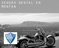 Seguro dental en  Montán