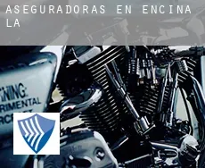 Aseguradoras en  Encina (La)