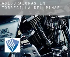 Aseguradoras en Torrecilla del Pinar