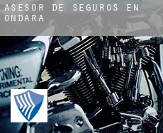 Asesor de seguros en  Ondara