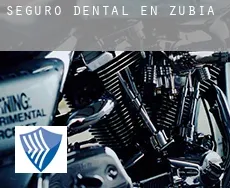 Seguro dental en  Zubia