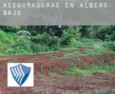 Aseguradoras en  Albero Bajo