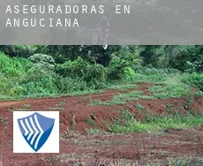 Aseguradoras en  Anguciana