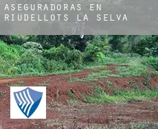 Aseguradoras en  Riudellots de la Selva