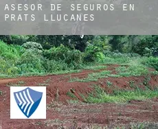 Asesor de seguros en  Prats de Lluçanès