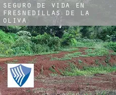 Seguro de vida en  Fresnedillas de la Oliva