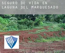 Seguro de vida en  Laguna del Marquesado