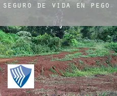 Seguro de vida en  Pego
