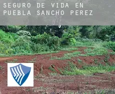 Seguro de vida en  Puebla de Sancho Pérez