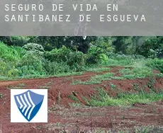 Seguro de vida en  Santibáñez de Esgueva