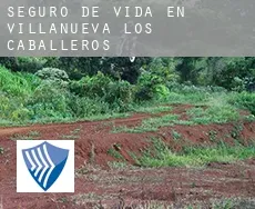 Seguro de vida en  Villanueva de los Caballeros