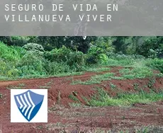Seguro de vida en  Villanueva de Viver