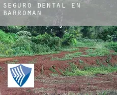 Seguro dental en  Barromán