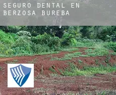 Seguro dental en  Berzosa de Bureba