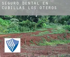 Seguro dental en  Cubillas de los Oteros